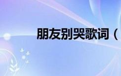 朋友别哭歌词（朋友别哭 mp3）
