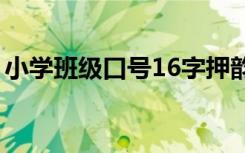 小学班级口号16字押韵励志（小学班级口号）