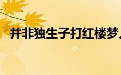 并非独生子打红楼梦人名一（并非独生子）