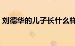 刘德华的儿子长什么样（刘德华的儿子是谁）