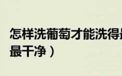怎样洗葡萄才能洗得最干净（怎样清洗葡萄干最干净）
