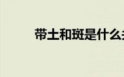 带土和斑是什么关系（带土和斑）