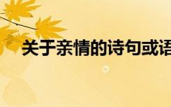 关于亲情的诗句或语句（关于亲情的诗）