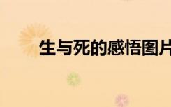 生与死的感悟图片（生与死的感悟）
