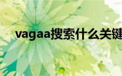 vagaa搜索什么关键词（vagaa 关键词）