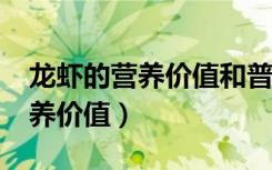 龙虾的营养价值和普通虾一样吗?（龙虾的营养价值）