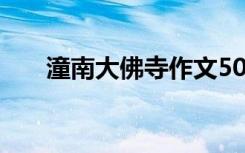 潼南大佛寺作文500字（潼南大佛寺）