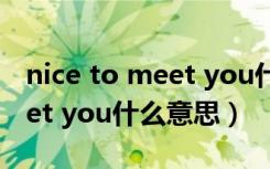 nice to meet you什么意思啊（nice to meet you什么意思）