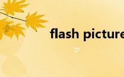 flash picture（flash图片）