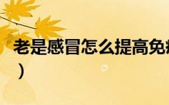 老是感冒怎么提高免疫力（怎么快速感冒发烧）