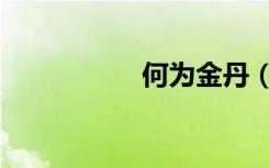 何为金丹（金丹有价）