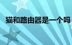 猫和路由器是一个吗（猫和路由器一样吗）
