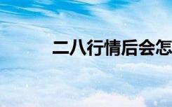 二八行情后会怎样?（二八行情）