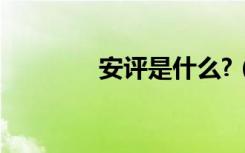 安评是什么?（安评是什么）