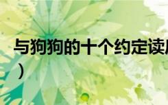 与狗狗的十个约定读后感（与狗狗的十个约定）