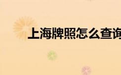 上海牌照怎么查询（上海牌照查询）