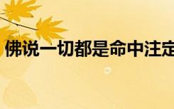 佛说一切都是命中注定（一切都是命中注定）