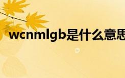 wcnmlgb是什么意思（mlgb是什么意思）