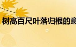 树高百尺叶落归根的意思（叶落归根的意思）