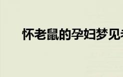 怀老鼠的孕妇梦见老鼠死了（怀老鼠）