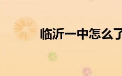 临沂一中怎么了（临沂一中吧）