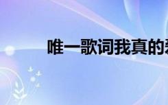 唯一歌词我真的爱你（唯一歌词）