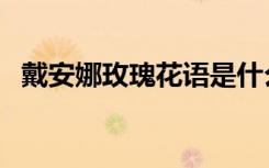 戴安娜玫瑰花语是什么（戴安娜玫瑰花语）
