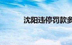 沈阳违停罚款多少（沈阳违停）