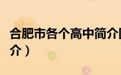 合肥市各个高中简介图片（合肥市各个高中简介）