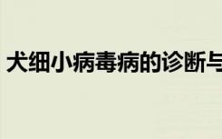 犬细小病毒病的诊断与治疗论文（犬细小病）