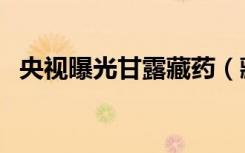 央视曝光甘露藏药（藏医最擅长治什么病）