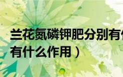 兰花氮磷钾肥分别有什么作用（氮磷钾肥分别有什么作用）