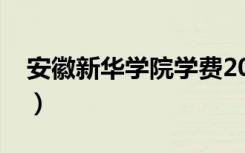 安徽新华学院学费2019（安徽新华学院学费）
