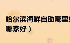 哈尔滨海鲜自助哪里好吃（哈尔滨海鲜自助餐哪家好）