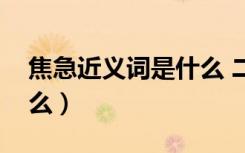 焦急近义词是什么 二年级（焦急近义词是什么）