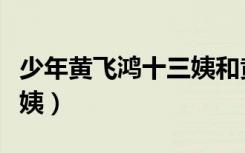 少年黄飞鸿十三姨和黄麒英（少年黄飞鸿十三姨）