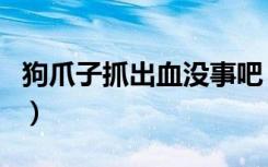 狗爪子抓出血没事吧（狗爪子抓出血了有事吗）
