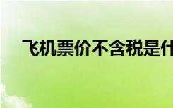 飞机票价不含税是什么意思（飞机票价）
