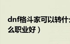 dnf格斗家可以转什么职业（dnf格斗家转什么职业好）