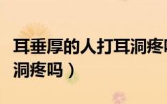 耳垂厚的人打耳洞疼吗女生（耳垂厚的人打耳洞疼吗）