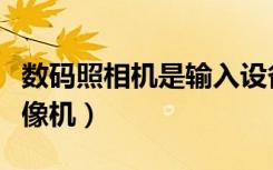 数码照相机是输入设备还是输出设备（数码照像机）