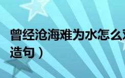 曾经沧海难为水怎么对下句（曾经沧海难为水造句）