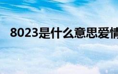 8023是什么意思爱情（8023是什么意思）