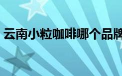 云南小粒咖啡哪个品牌好（咖啡哪个品牌好）