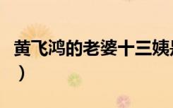 黄飞鸿的老婆十三姨是叫少筠（黄飞鸿的老婆）