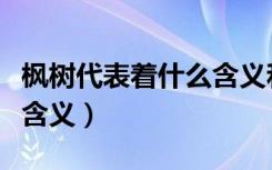 枫树代表着什么含义和寓意（枫树代表着什么含义）