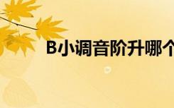 B小调音阶升哪个音（b小调音阶）