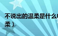 不说出的温柔是什么电视主题曲（不说出的温柔）