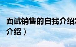 面试销售的自我介绍怎么说（面试销售的自我介绍）