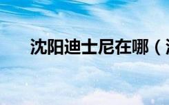 沈阳迪士尼在哪（沈阳迪士尼专卖店）